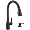 Single Handle Pull-Down Kitchen Faucet with Soap Dispenser and ShieldSpray&reg; Technology
