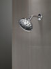H<sub>2</sub>Okinetic&reg; 5-Setting Traditional Raincan Shower Head
