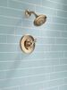 Monitor&reg; 14 Series Shower Trim