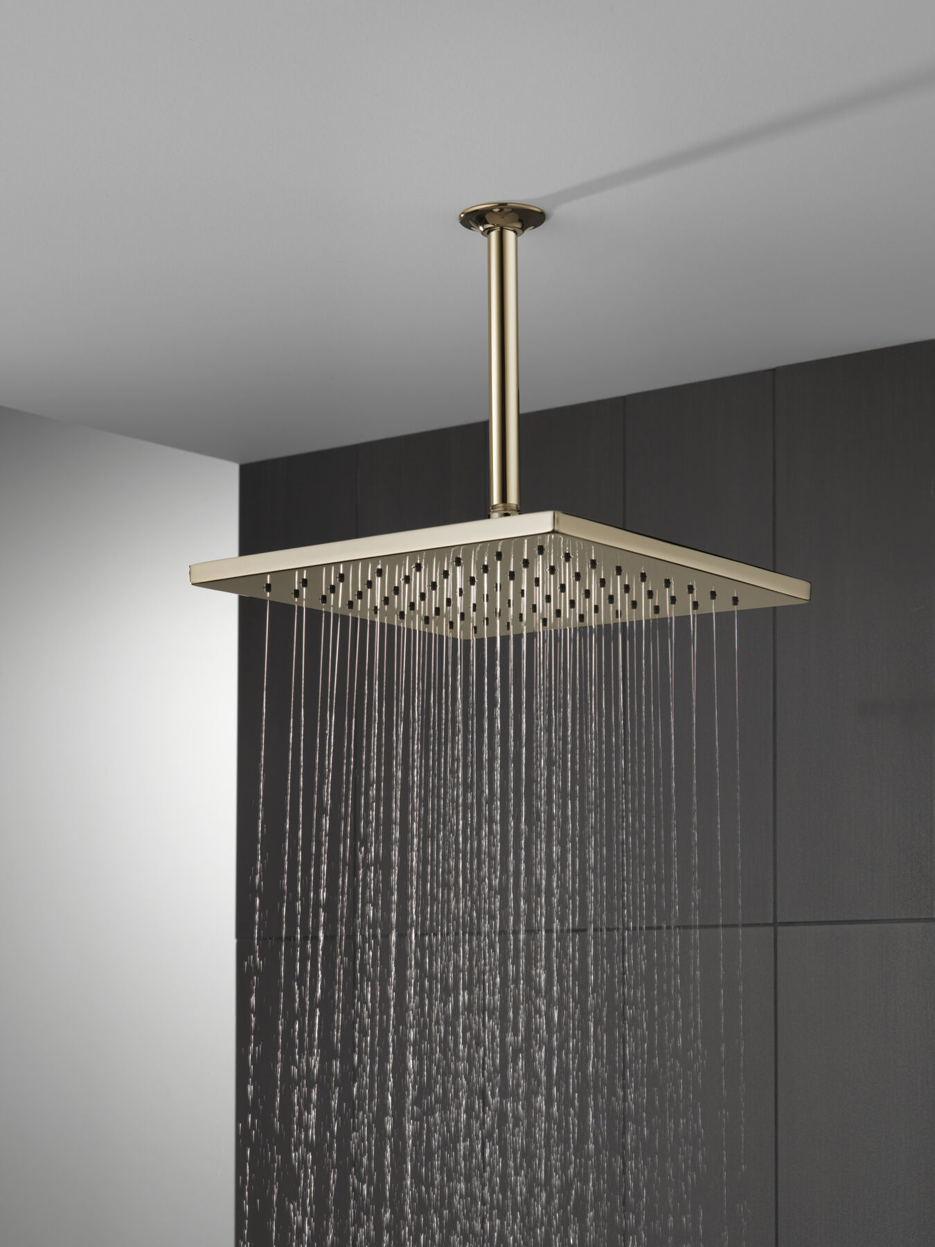 Single-Setting Metal Raincan Shower Head