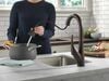 Single Handle Pull-Down Kitchen Faucet with ShieldSpray&reg; Technology