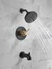 Tub/Shower Rough & Trim 14S (Recertified)