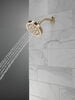 5-Setting Showerhead
