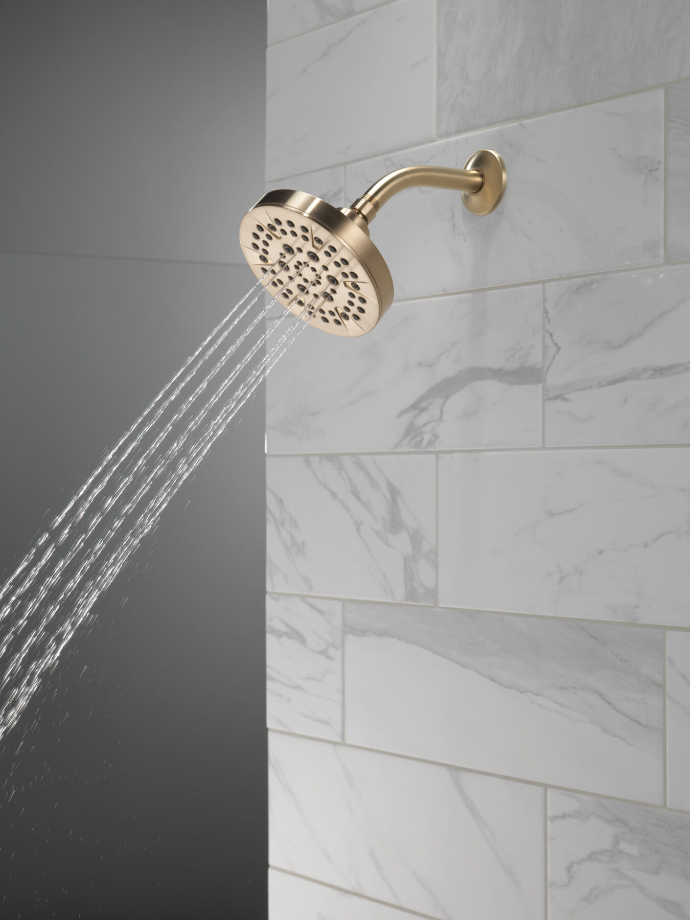 5-Setting Showerhead