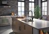 Single Handle Pull-Down Kitchen Faucet with Soap Dispenser and ShieldSpray&reg; Technology