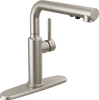 Pull-Out Kitchen Faucet (Recertified)