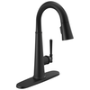 Single Handle Pull-Down Bar/Prep Faucet
