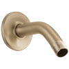 Wall Mount Shower Arm & Flange