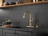 Single Handle Pull-Down Kitchen Faucet with Touch<sub>2</sub>O&reg; Technologyand Soap Dispenser