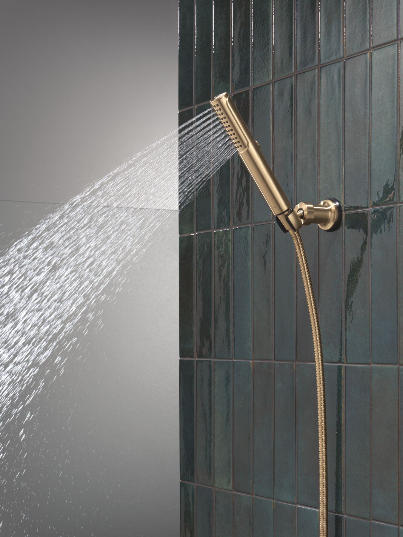 2-Setting Hand Shower with ProClean&trade; Spray &ndash; Wall Mount