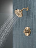 Monitor&reg; 14 Series H2Okinetic&reg; Shower