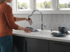 Single Handle Pull-Down Kitchen Faucet with Soap Dispenser and ShieldSpray &reg; Technology