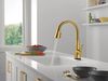 Touch2O with Voice Pull-Down Kitchen Bundle