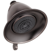 Premium 3-Setting Shower Head