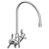 SS Mixing Faucet