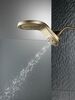 HydroRain&reg; H<sub>2</sub>Okinetic&reg; 5-Setting Two-in-One Shower Head