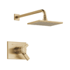Thermostatic Shower Trim 17T (Recertified)