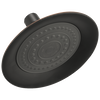 Single-Setting Raincan Shower Head