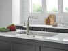 Pull-Out Kitchen Faucet (Recertified)