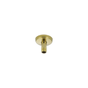 Ceiling Mount Shower Arm and Flange