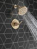 Monitor&reg; 14 Series Shower Trim