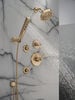 Monitor 14 Series Shower Trim