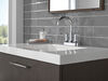Centerset Bathroom Faucet (Recertified)