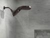 Shower Arm
