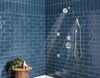 Premium Single-Setting Adjustable Wall Mount Hand Shower
