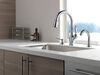 Single Handle Pull-Down Kitchen Faucet with ShieldSpray&reg; Technology