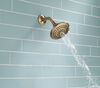 5-Setting Raincan Shower Head