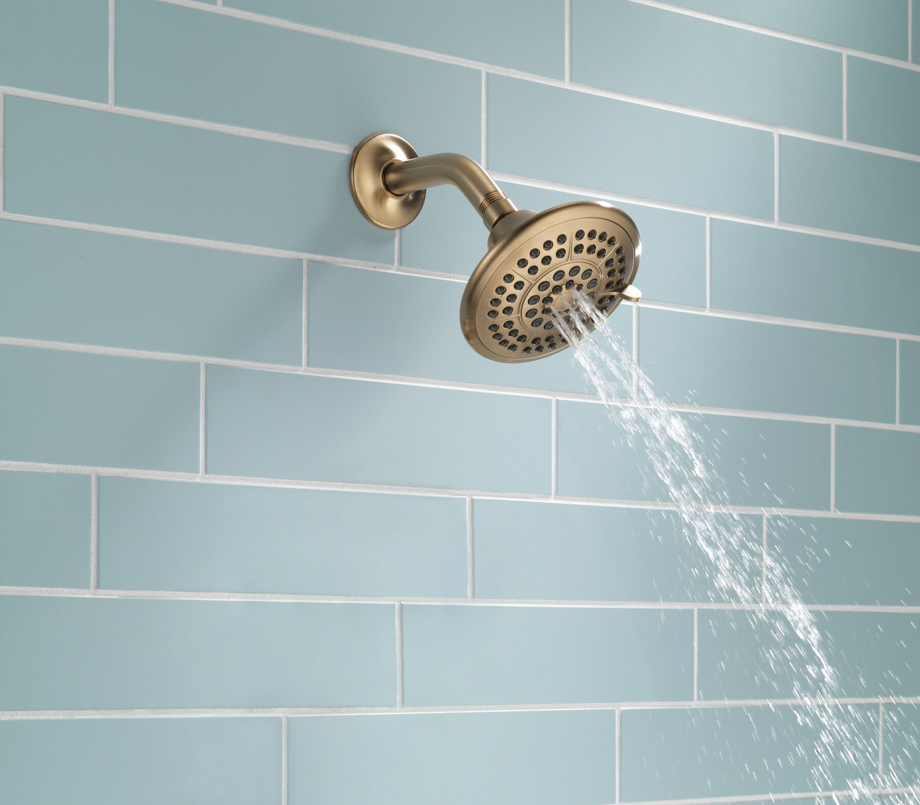 5-Setting Raincan Shower Head
