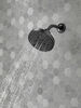H2Okinetic&reg; 5-Setting Shower Head
