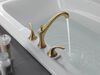 Roman Tub Trim