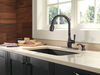 Single Handle Pull-Down Kitchen Faucet with Soap Dispenser and ShieldSpray&reg; Technology