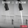 Single Handle Pull-Down Kitchen Faucet