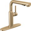 Pull-Out Kitchen Faucet (Recertified)