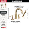 Roman Tub Trim with Hand Shower