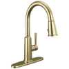 Single Handle Pull-Down Kitchen Faucet (Recertified)