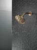 H<sub>2</sub>Okinetic&reg; 5-Setting Traditional Raincan Shower Head