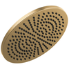 Single-Setting Metal Raincan Shower Head (Recertified)