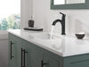 Single Handle Pull-Down Bathroom Faucet