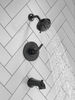 Tub/Shower Rough and Trim 14S (Recertified)