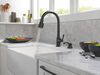 Single Handle Pull-Down Kitchen Faucet with Soap Dispenser and ShieldSpray Technology