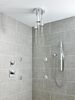 H<sub>2</sub>Okinetic&reg; Pendant Raincan Shower Head
