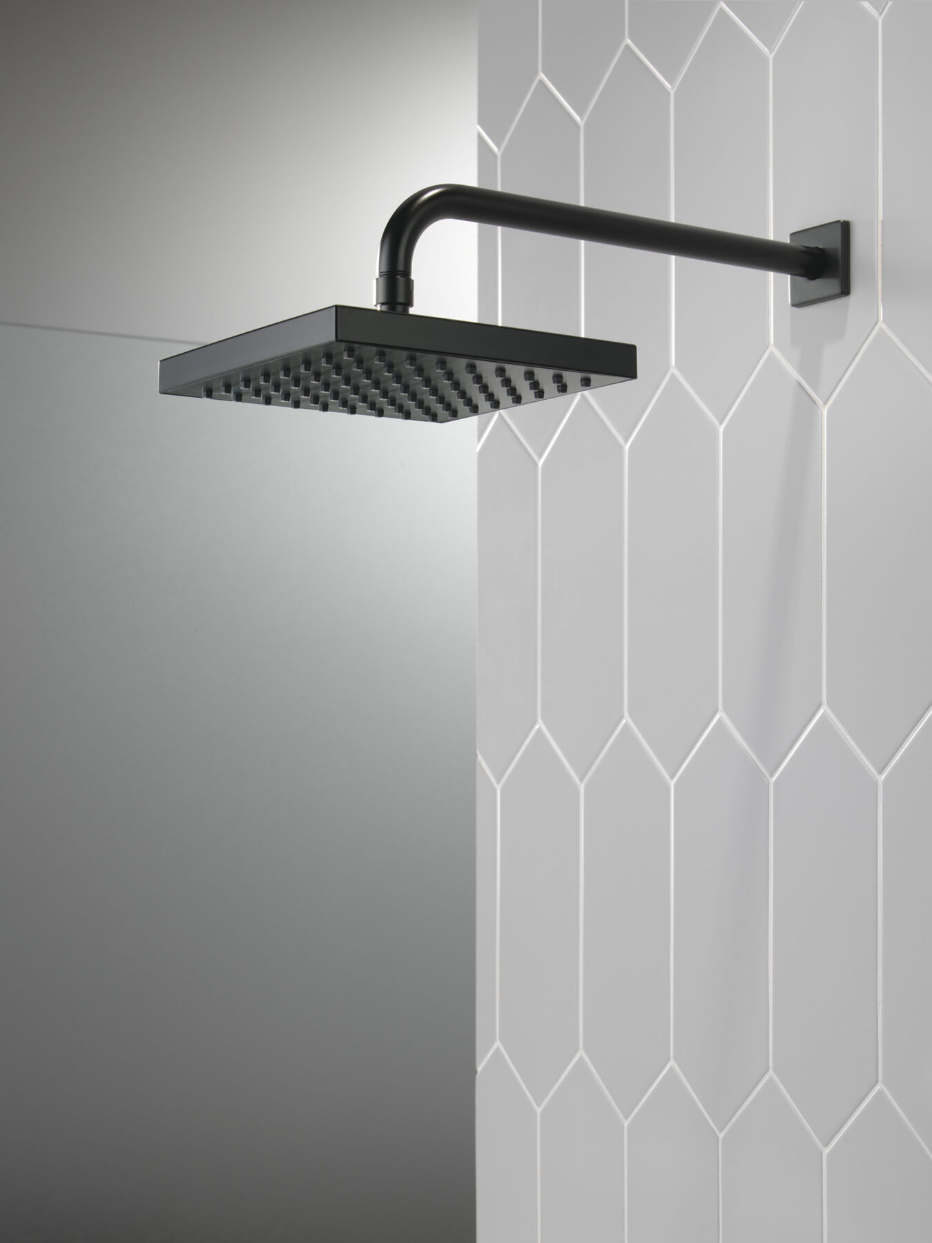 Raincan Single Setting Showerhead