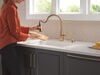 Single Handle Pull-Down Kitchen Faucet with Soap Dispenser and ShieldSpray&reg; Technology