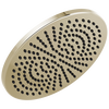 Single-Setting Metal Raincan Shower Head