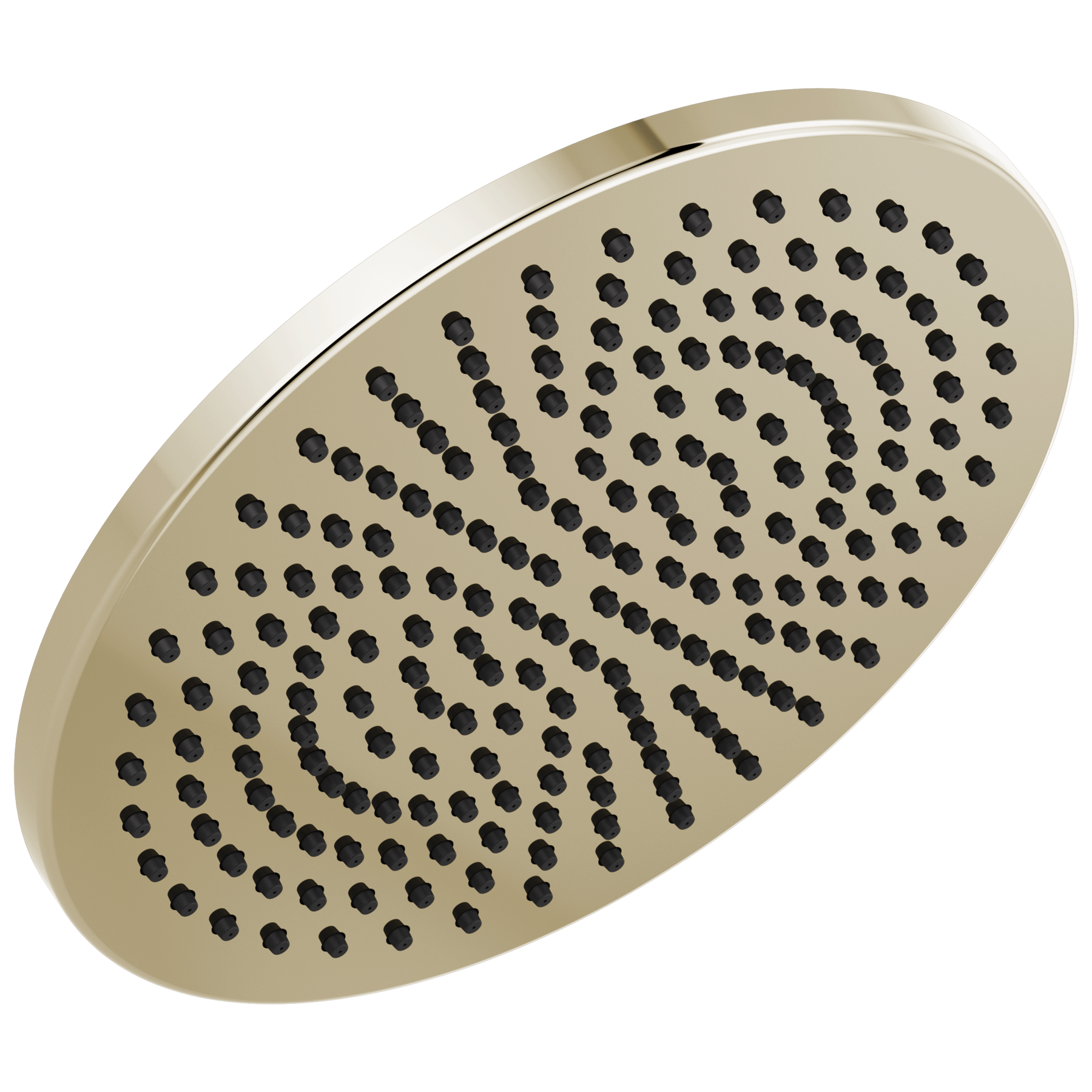 Single-Setting Metal Raincan Shower Head