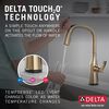 Touch<sub>2</sub>O&reg;  Pull-Down Kitchen w/ Voice